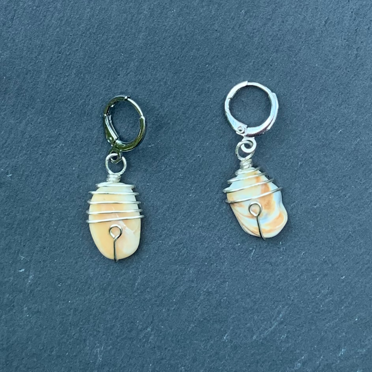 Celtic Seashell Earrings
